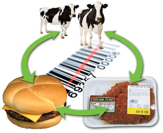 Meat2Fork